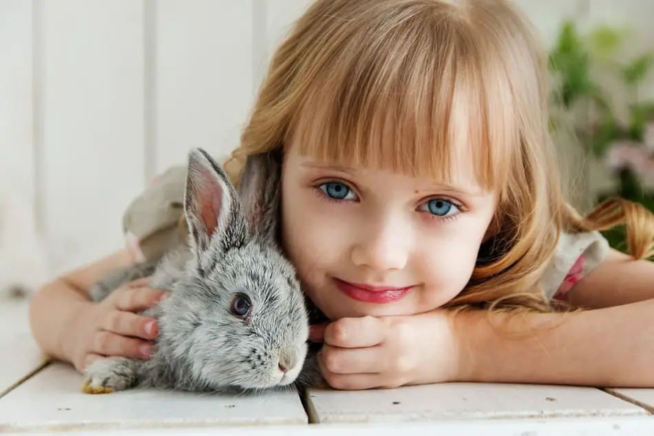 little girl with a pet rabbit