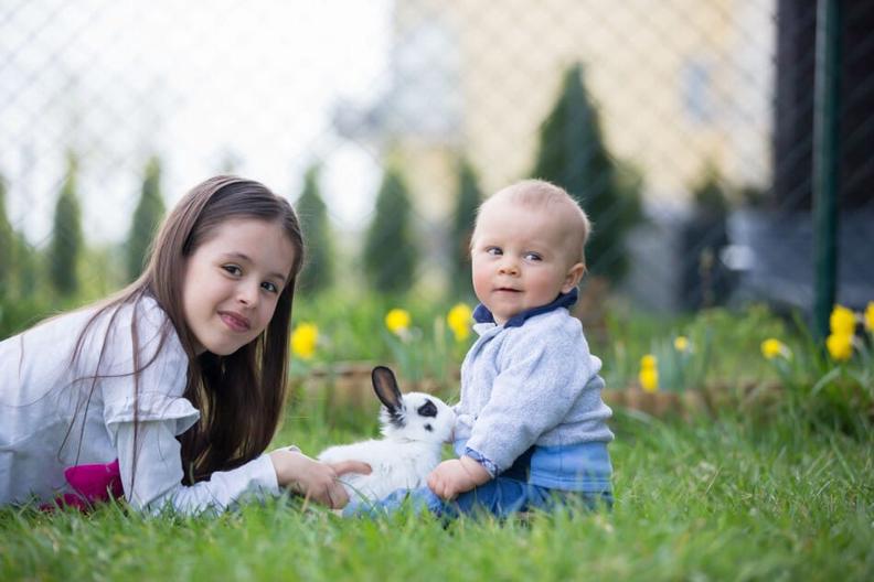 playing with a rabbit