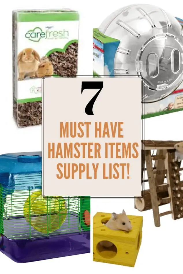 7 must have hamster items-supply list