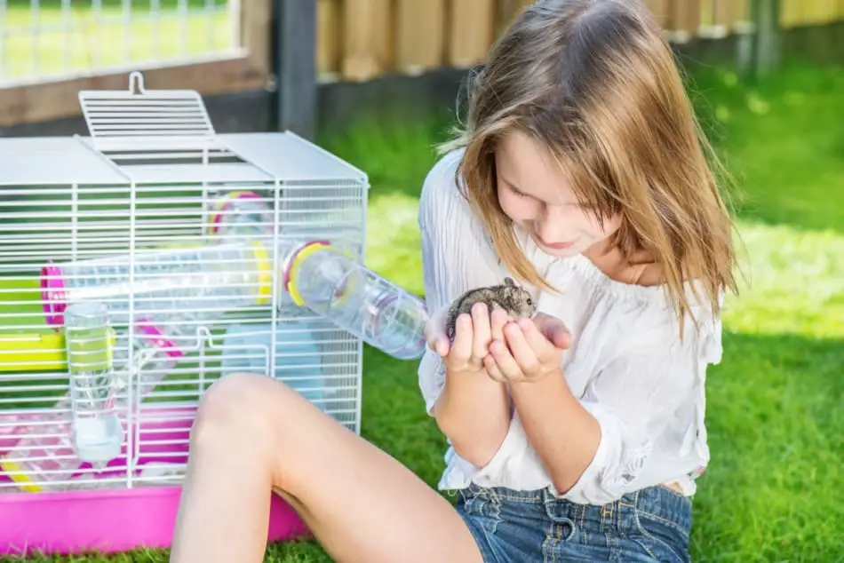 hamster with child