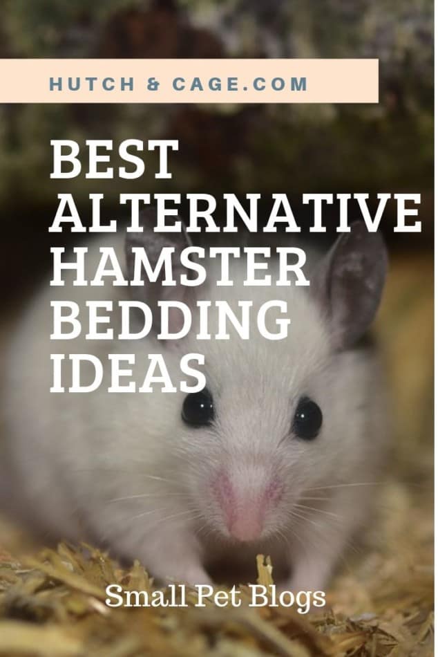 best hamster bedding