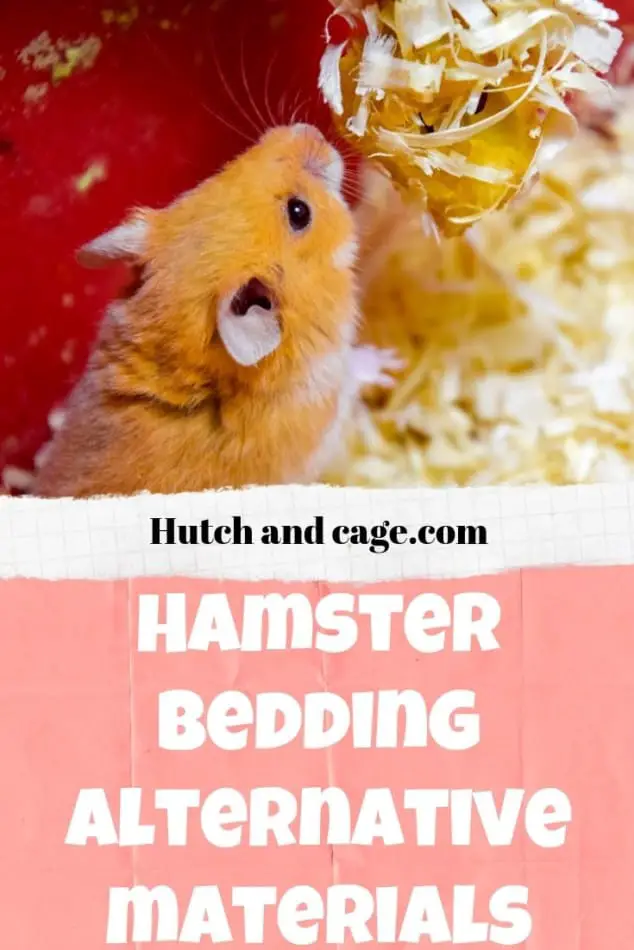Hamster Bedding Alternative Materials: 7 Great Ideas For Cheap Bedding 1