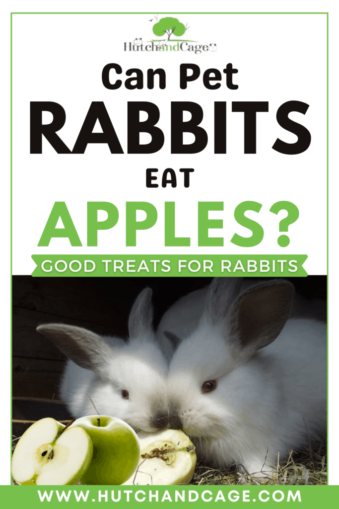 Can rabbits eat apples