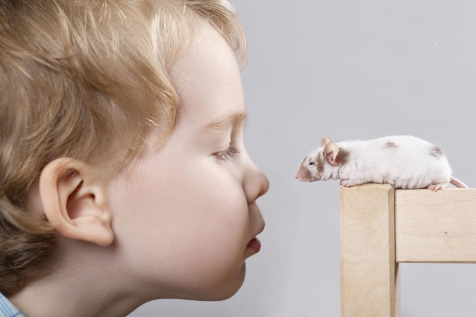 child with pet mouse