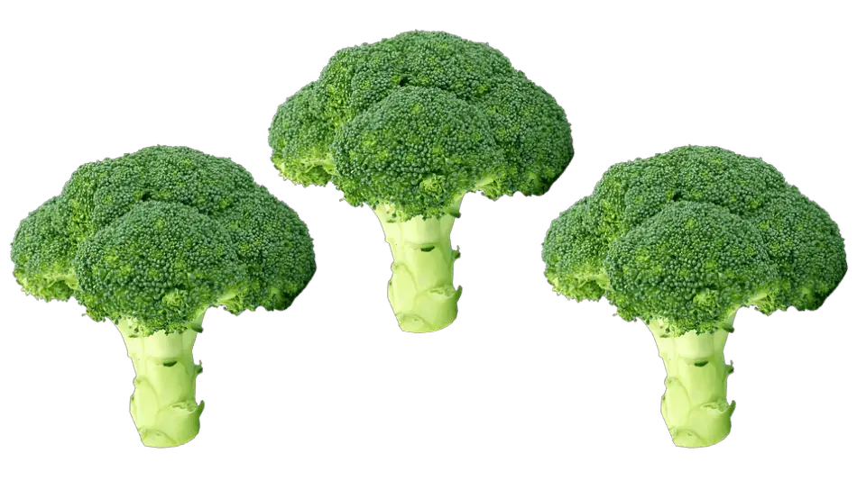 broccoli