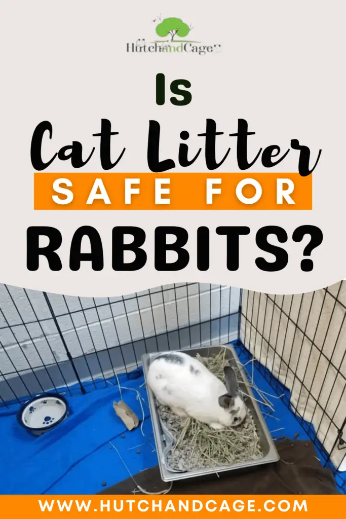 Is Cat Litter Safe for Rabbits