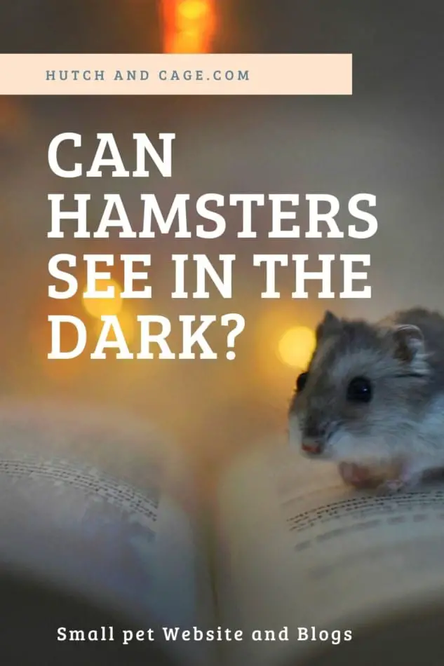 can hamsters see in the dark?