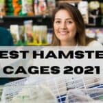 best hamster cage 2021