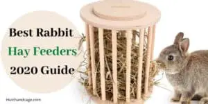 Best Rabbit hay feeders