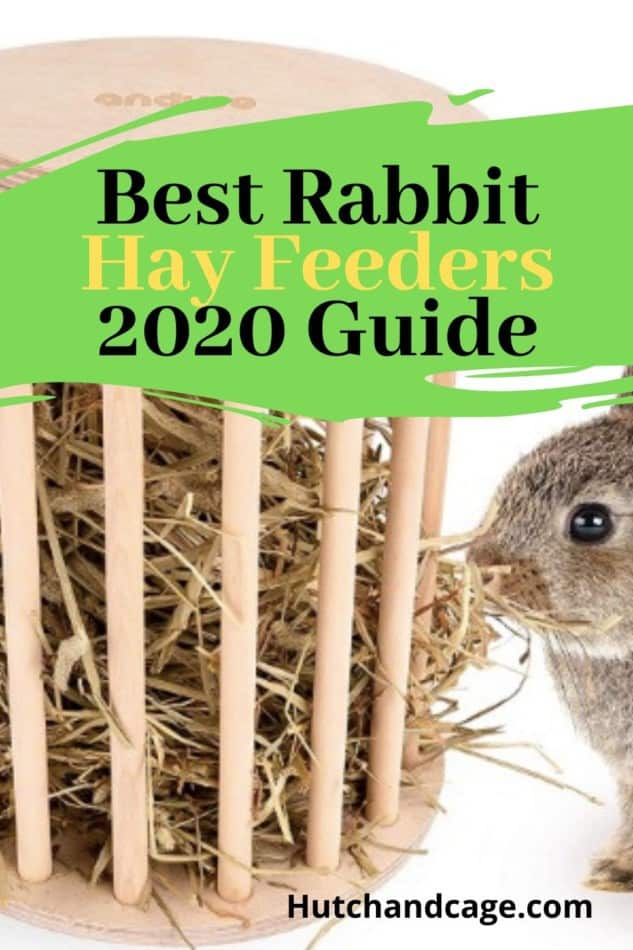 best rabbit hay feeders