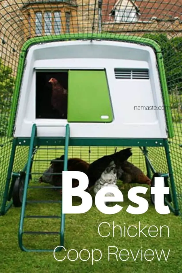 best chicken coop review