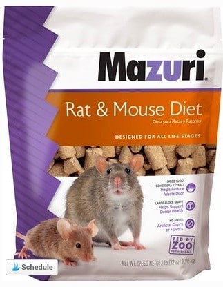 pet mice food