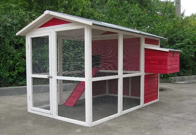 Best Chicken Coop Review - Top 5 chicken coops 2023 5