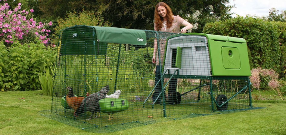 Eglu Cube is a large chicken coop
