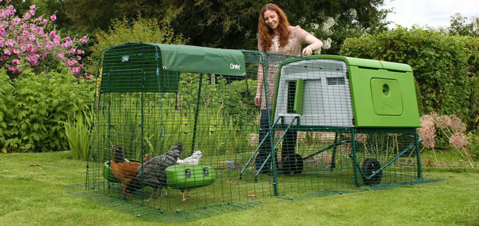 Eglu Cube chicken coop Review 2023