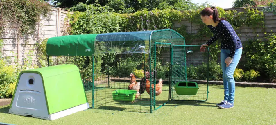 wire chicken coop
