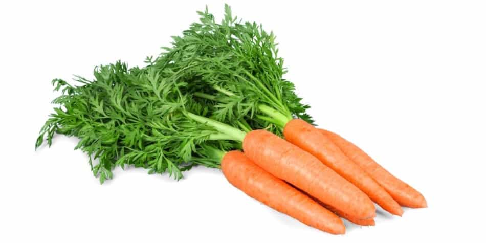 Carrots