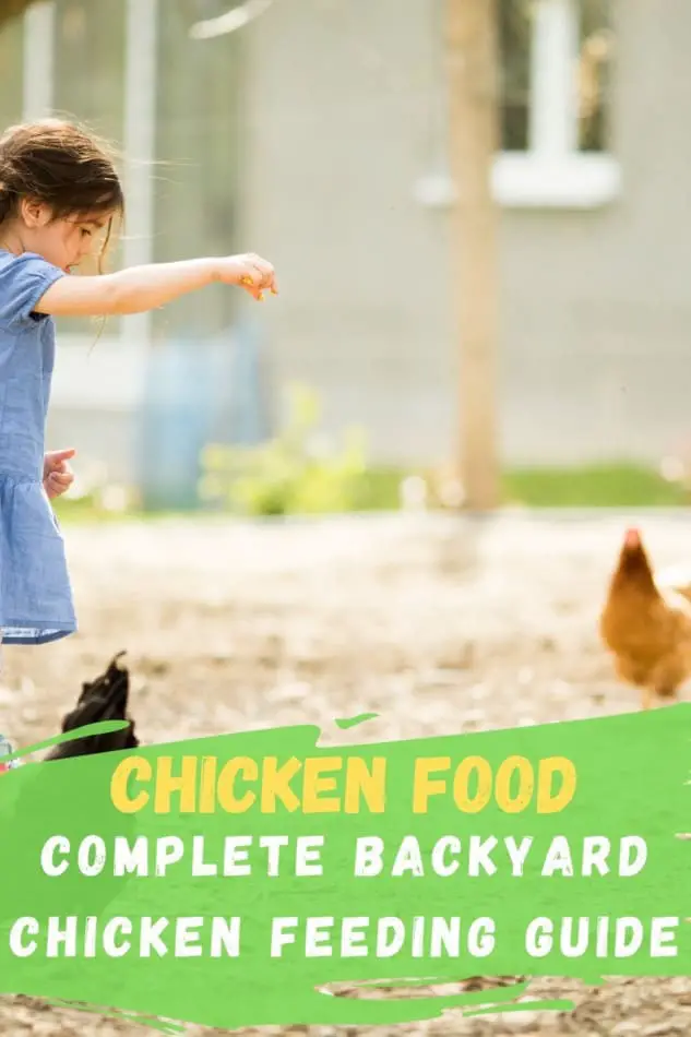 Chicken Food: Complete Guide to feeding Backyard Chickens 1