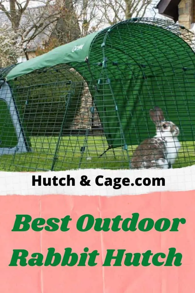 rabbit in a hutch