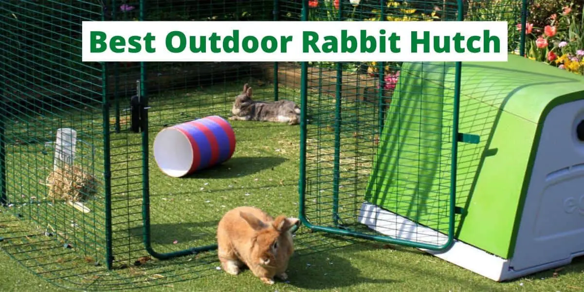 Best Outdoor Rabbit Hutch 2023 | TOP 7 Reviewed