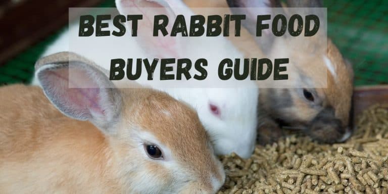 7 Best Rabbit Foods | 2023 Buyer Guide | Hutch and Cage