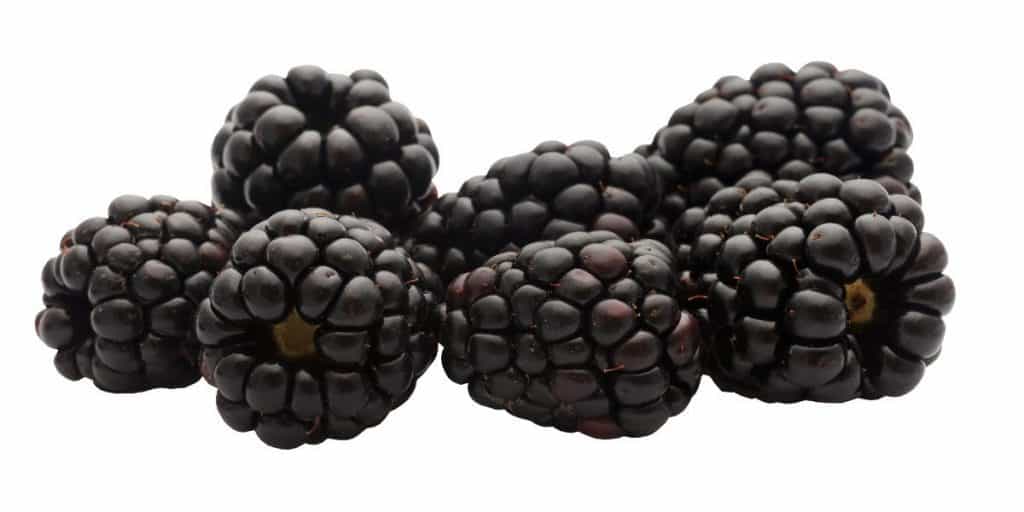 blackberries