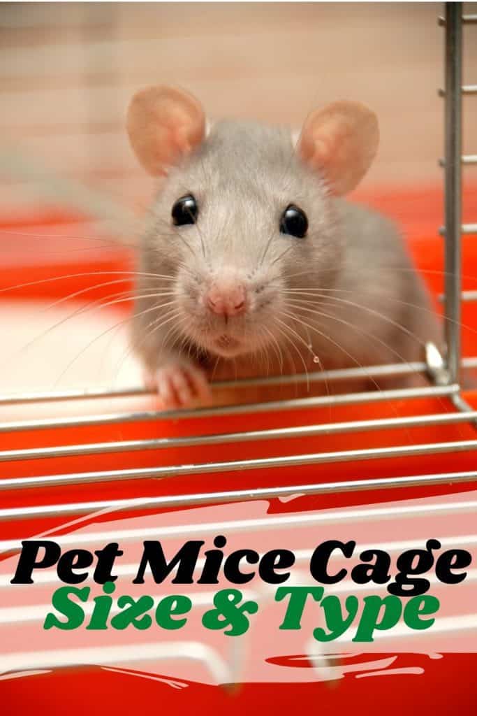 mouse cage size