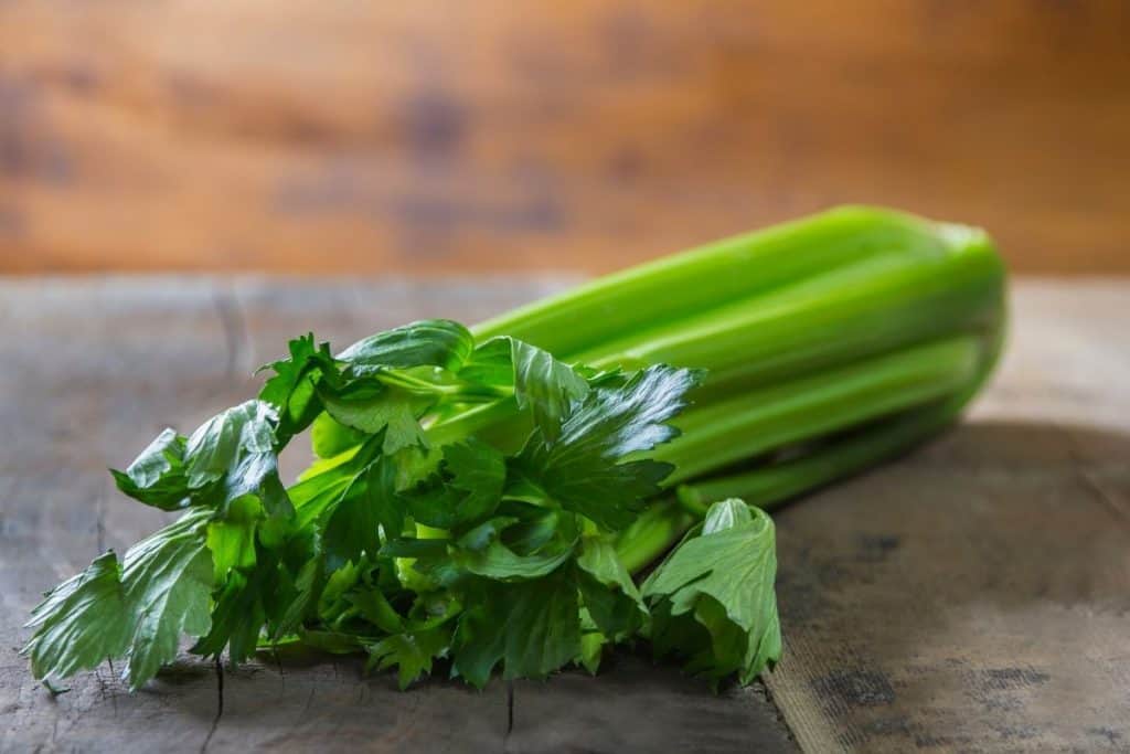 can-rabbits-eat-celery-give-celery-to-bunnies-or-not-hutch-and-cage