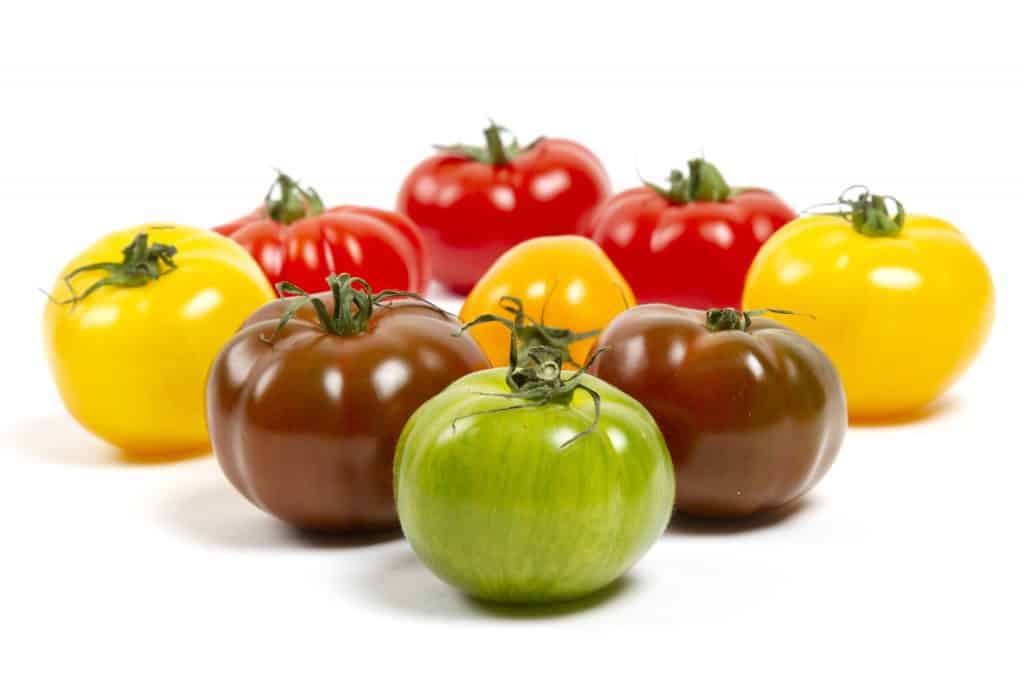 different color tomatoes