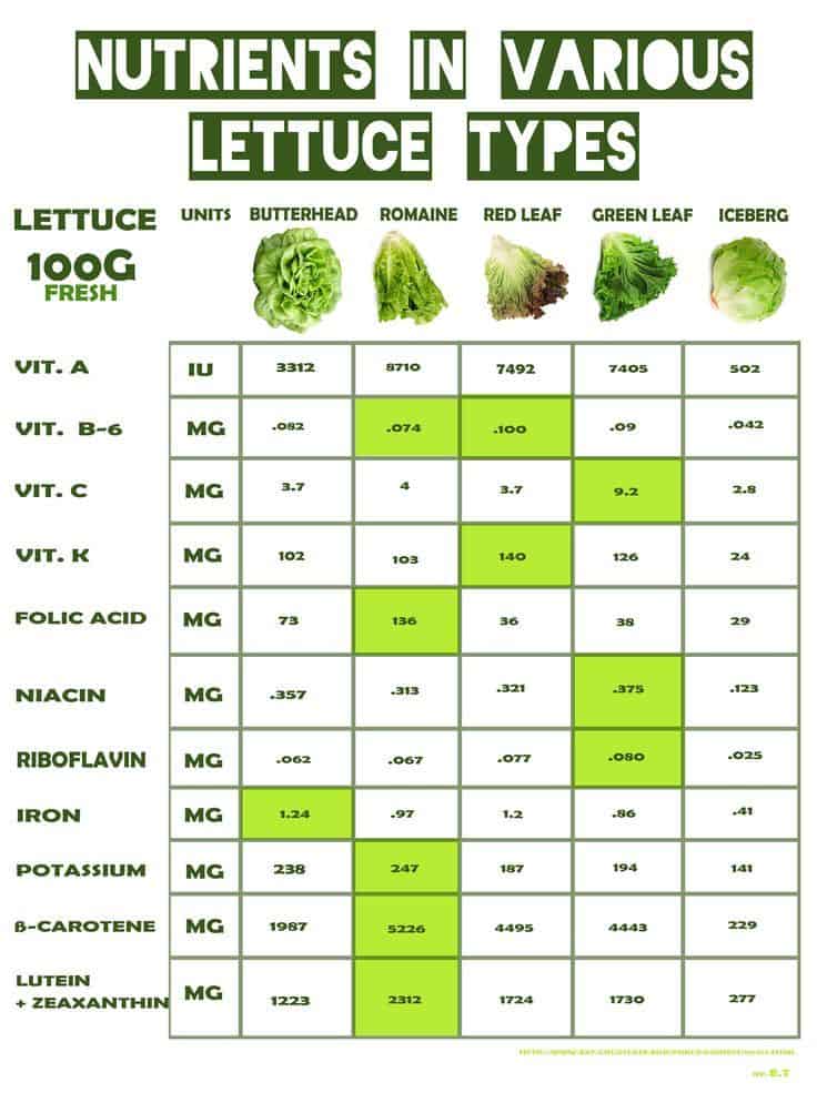 lettuce chart