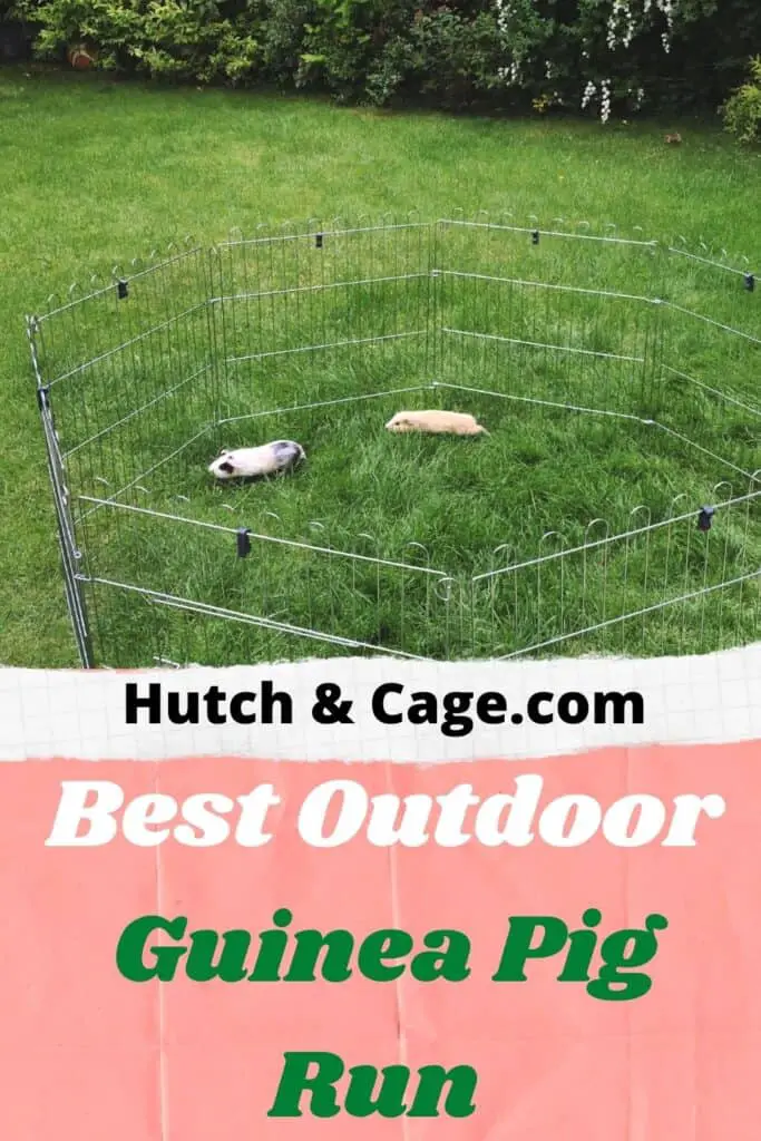 Best Outdoor Guinea Pig Runs Buyers Guide Hutch and Cage