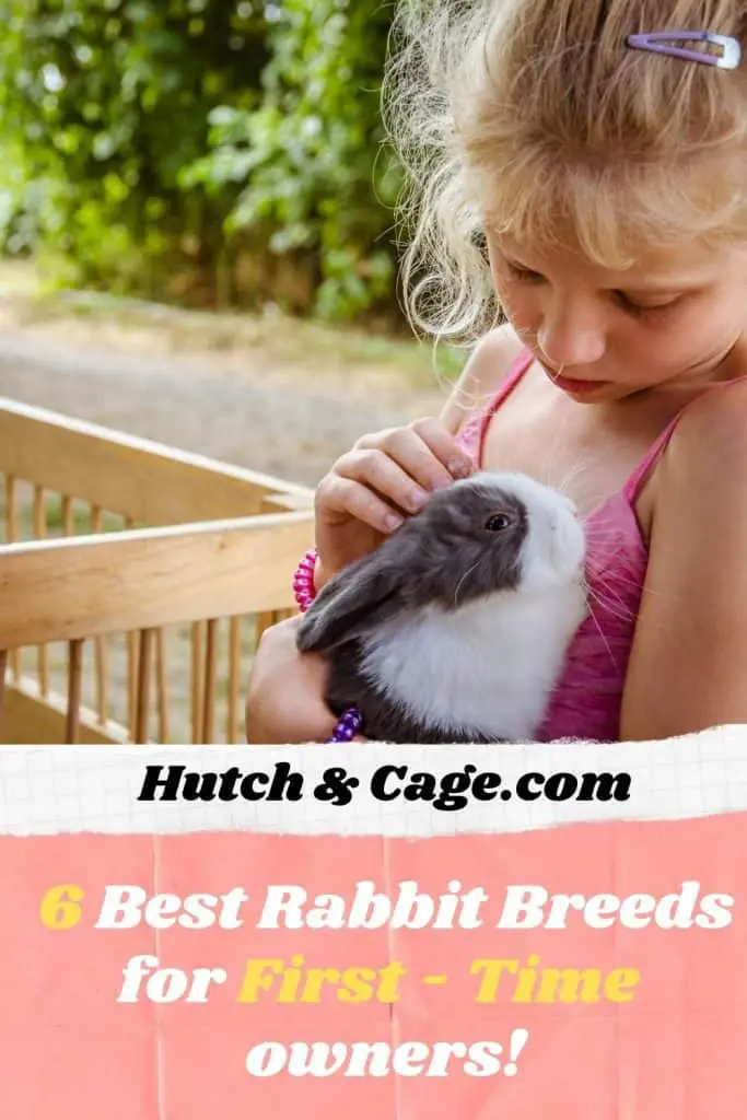 girl holding a rabbit