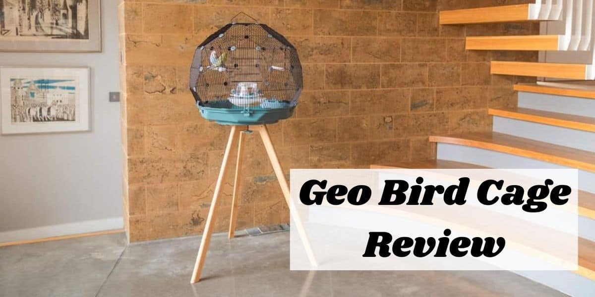 Dome Birdcage | Geo Birdcage Review From Omlet