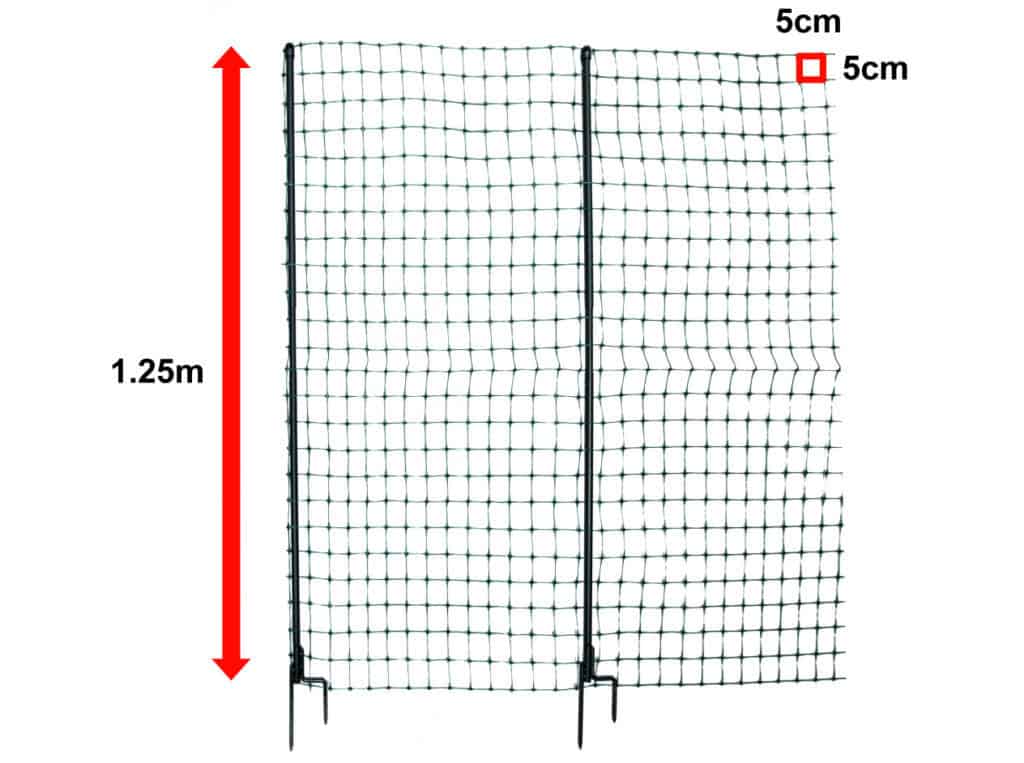 CHICKEN FENCE HEIGHT