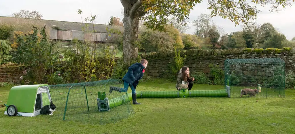 outdoor rabbit run