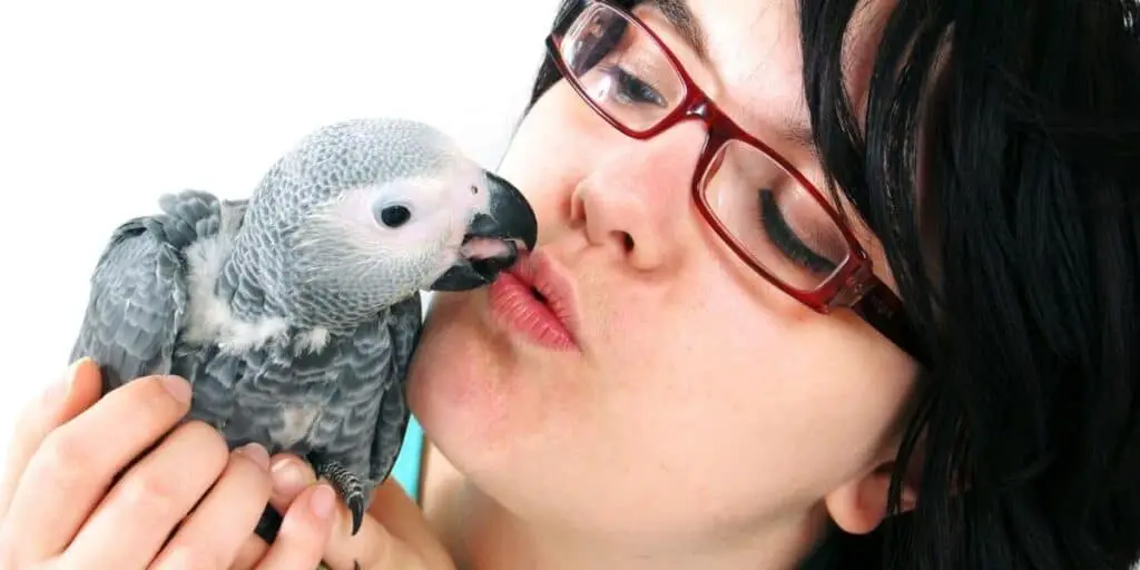lady talking to a parakeet