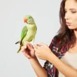parakeet with owner