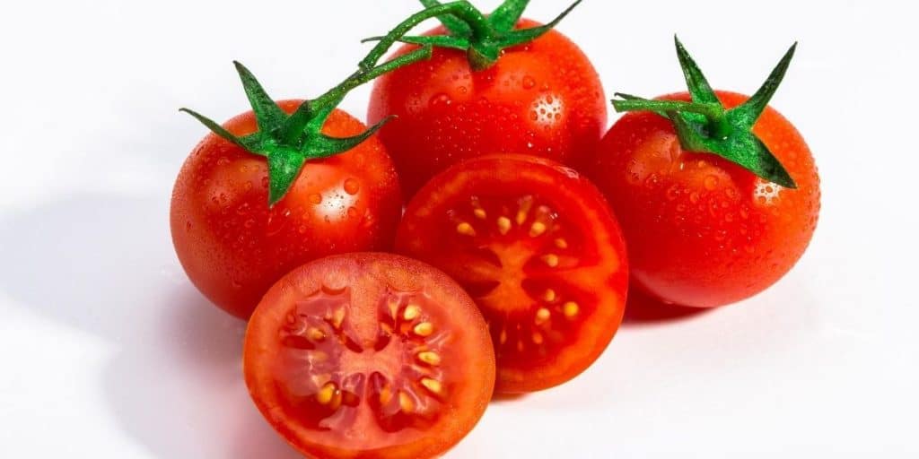 tomatoes