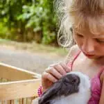 young girl holding a rabbit
