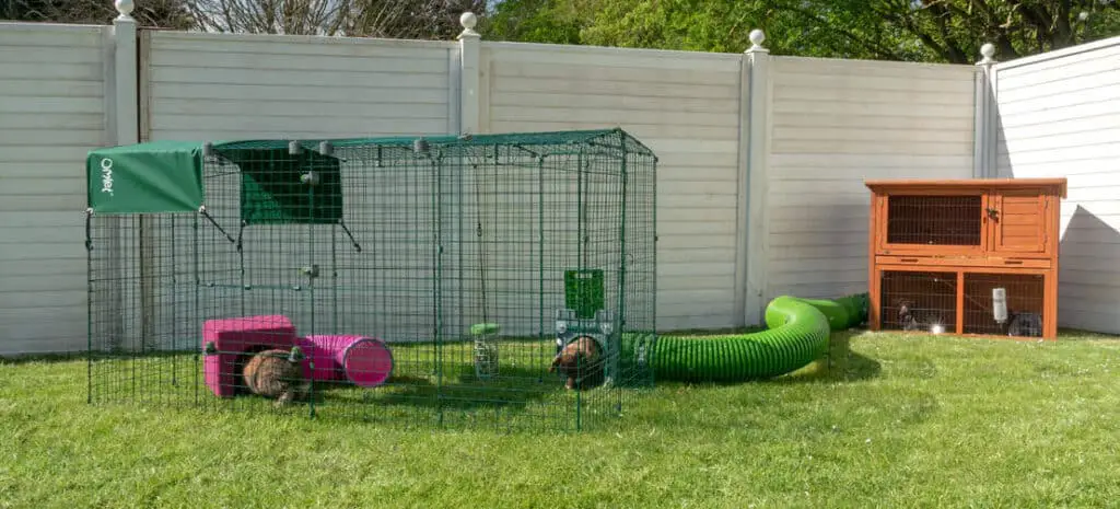 OUTDOOR GUINEA PIG RUN