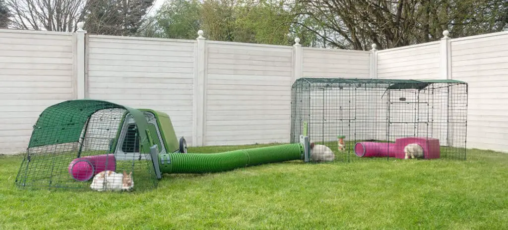 outdoor rabbit run