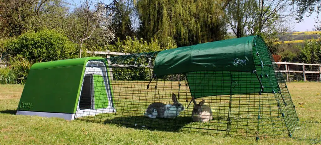 rabbit hutch