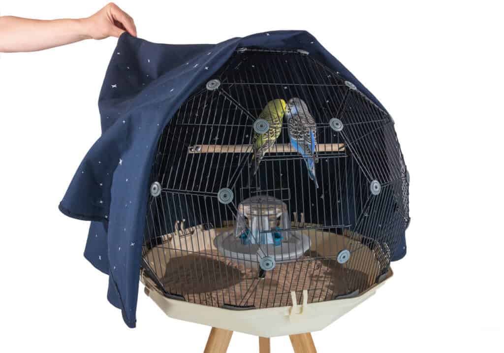 Dome Birdcage Geo Birdcage Review From Omlet Hutch and