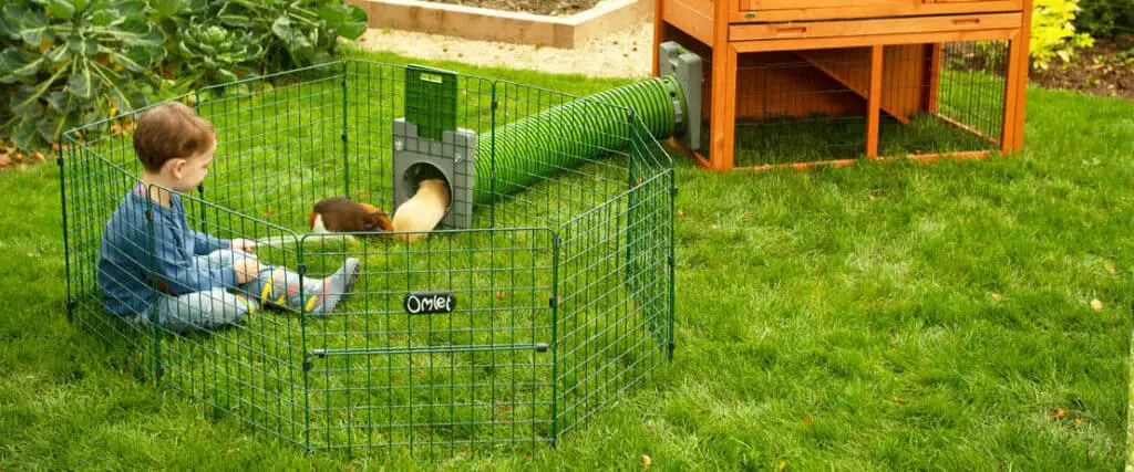 outdoor guinea pig runs