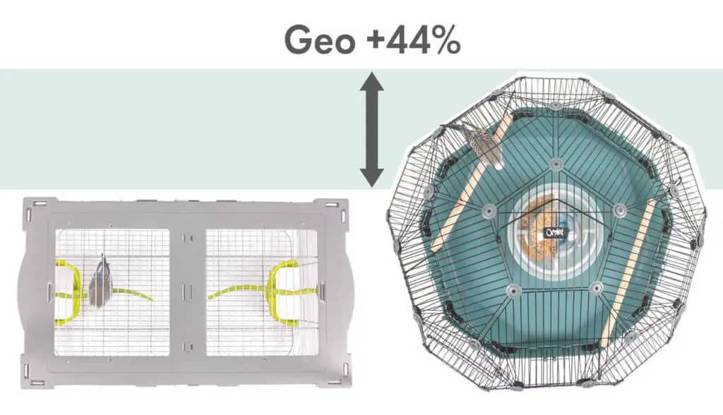 Dome Birdcage | Geo Birdcage Review From Omlet 1