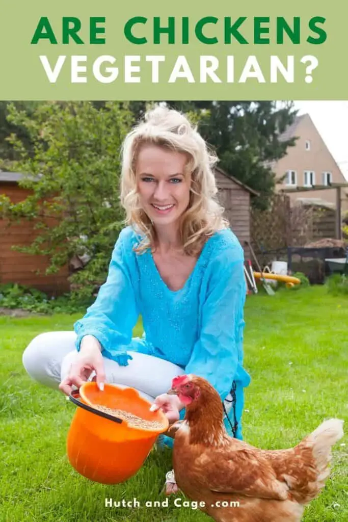 women feeding chickens