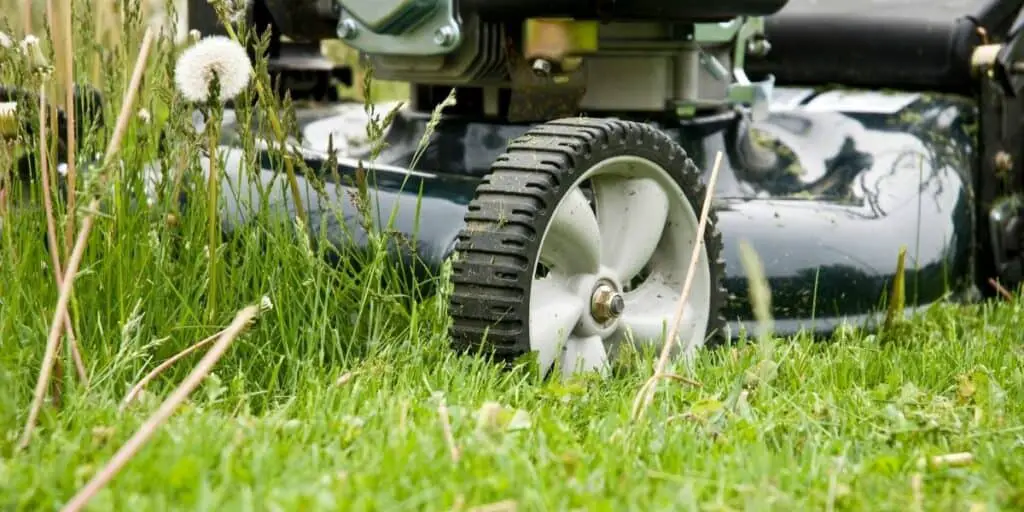 mowing the grass