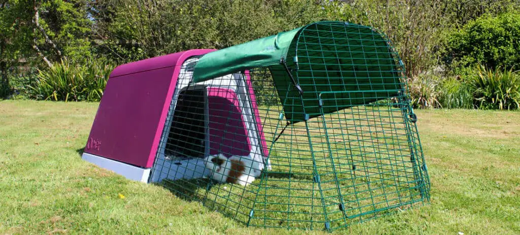 Guinea pig hutch from omlet