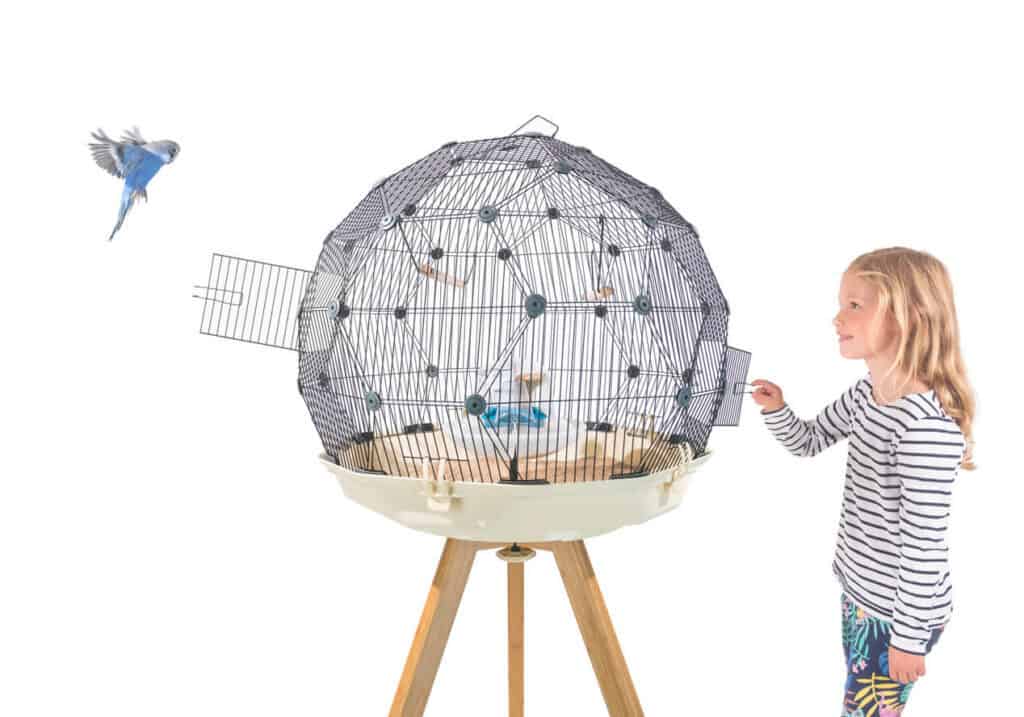 geo dome bird cage