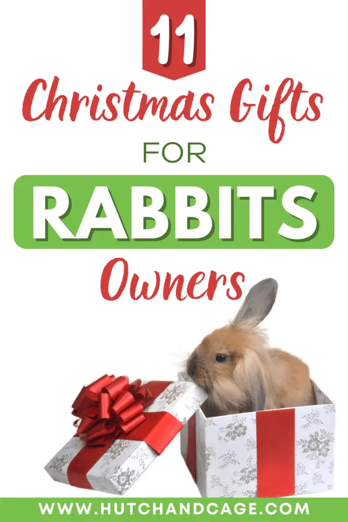 Christmas Gifts for Rabbit Lovers